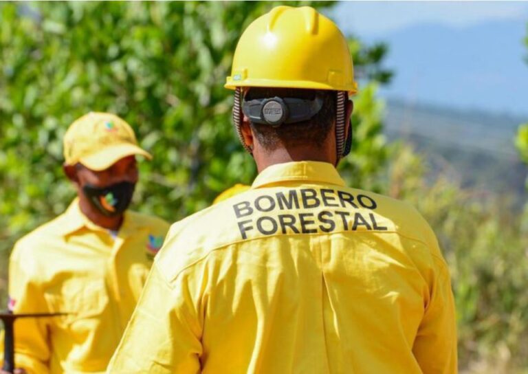 Medio Ambiente mantiene bajo control incendio forestal en Sierra de Bahoruco
