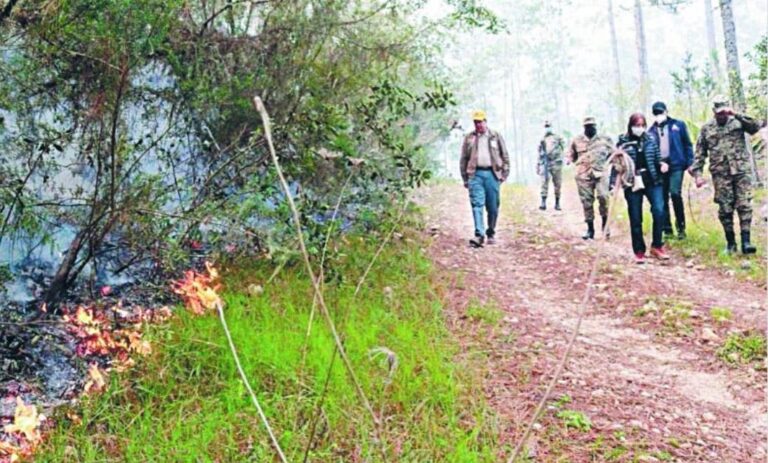 Incendios en la sierra de Bahoruco han sido provocados de manera intencional por manos criminales