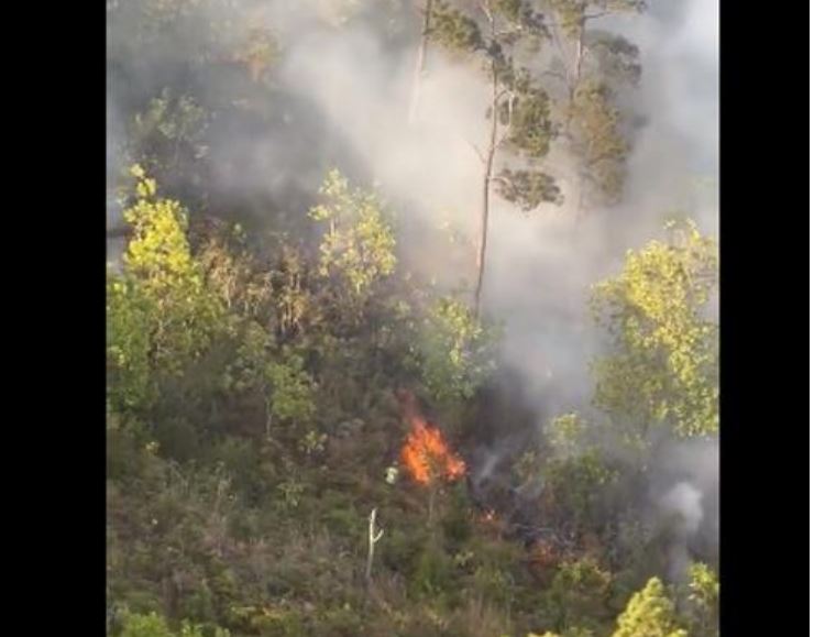 Un incendio afectó 60 tareas boscosas de Loma Miranda