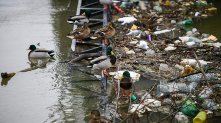 Contaminación por fármacos alcanza a los ríos de todo el mundo