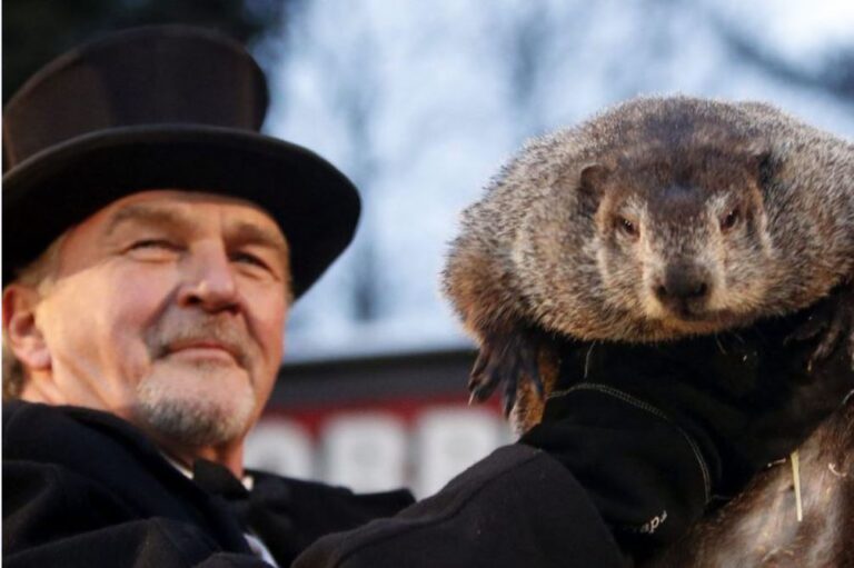 La marmota meteorológica predice otras seis semanas de invierno en Estados Unidos