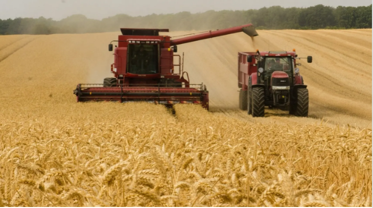 Gobierno ruso prohíbe las exportaciones de cereales y azúcar