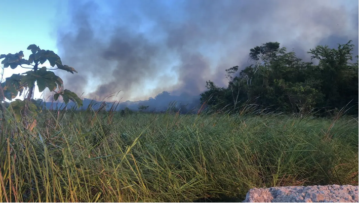 Incendio forestal que afecta Las Terrenas está bajo control, dice Medio Ambiente