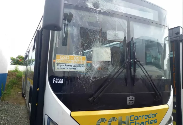 Hugo Beras reitera no permitirán «carros de concho» en Charles de Gaulle