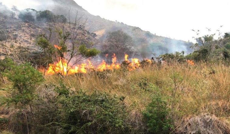Se registró un incendio en el Parque Nacional del Morro de Montecristi.