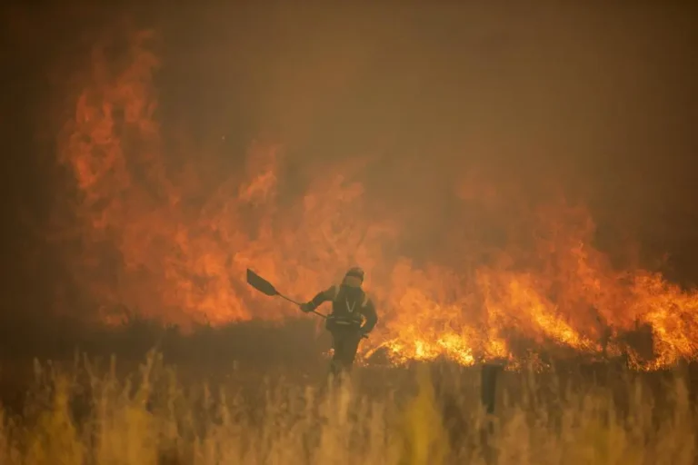 Ola de calor y incendios forestales agobian a Europa