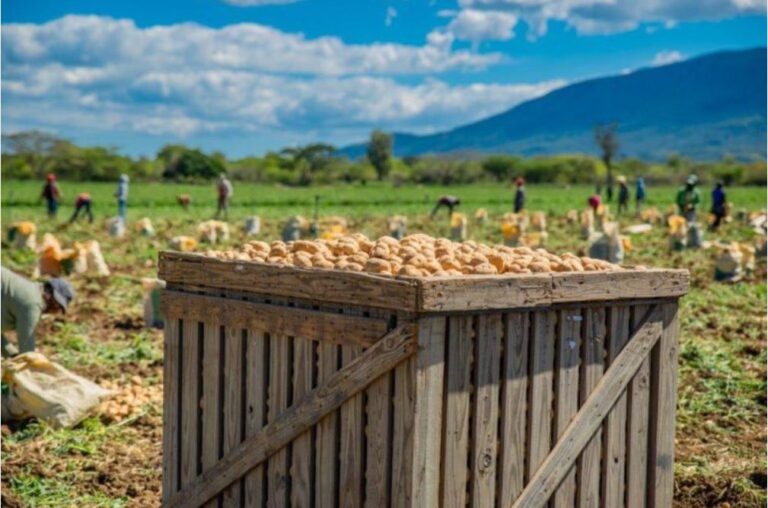 Gobierno firma acuerdo con PepsiCo para incrementar la producción local de papas de uso industrial