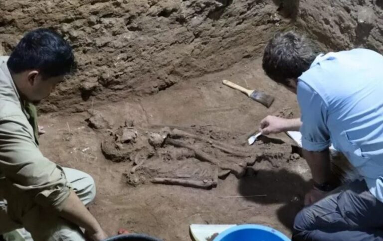 La primera amputación quirúrgica remonta a 31.000 años, según un estudio