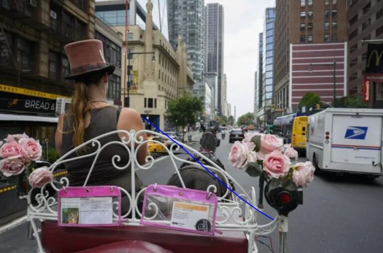 Amenaza para los carruajes tirados por caballos en Nueva York