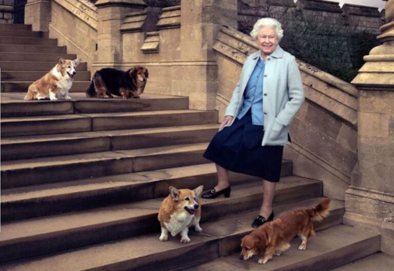 Quién cuidará ahora de los perros corgi de la reina Isabel II
