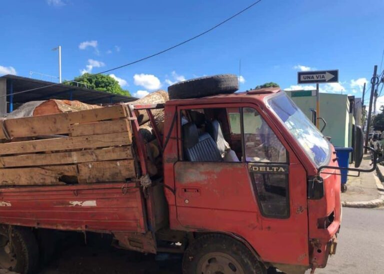 Imponen prisión preventiva por corte ilegal de árboles en Moca