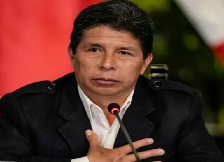OEA conoce caso presidente Pedro Castillo