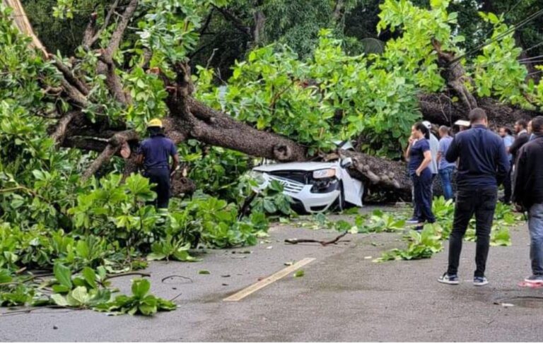 Hombre muere tras caer árbol sobre su vehículo