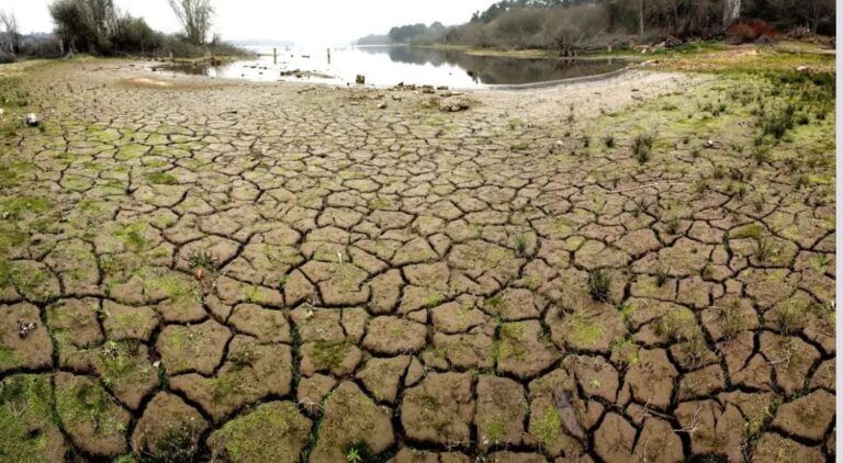 Cambio climático podría desplazar a 216 millones de personas para 2050