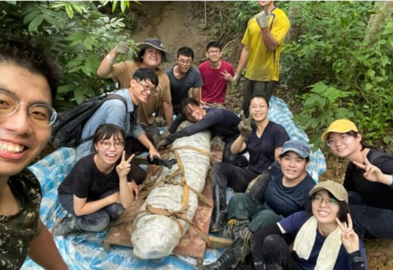 Hallan el fósil de ballena más completo en la historia de Taiwán