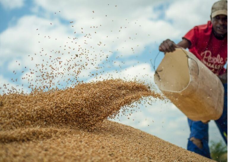 ONU advierte que millones de personas en África están al borde de la hambruna
