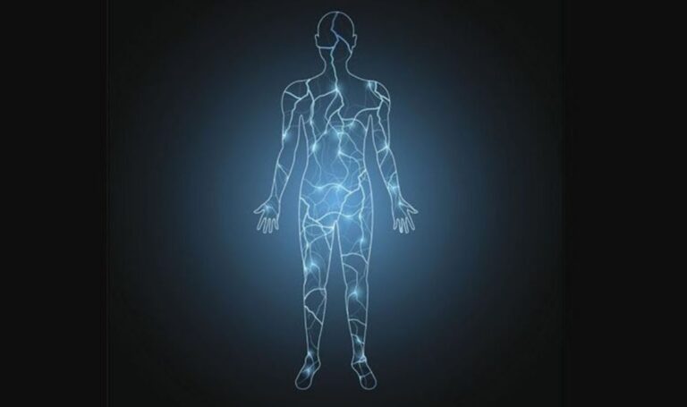 «Electroma» la red bioeléctrica del cuerpo humano que los científicos apenas comienzan a investigar 