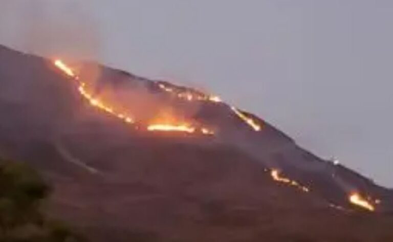 Incendio forestal afecta a la Loma Los Copeyes
