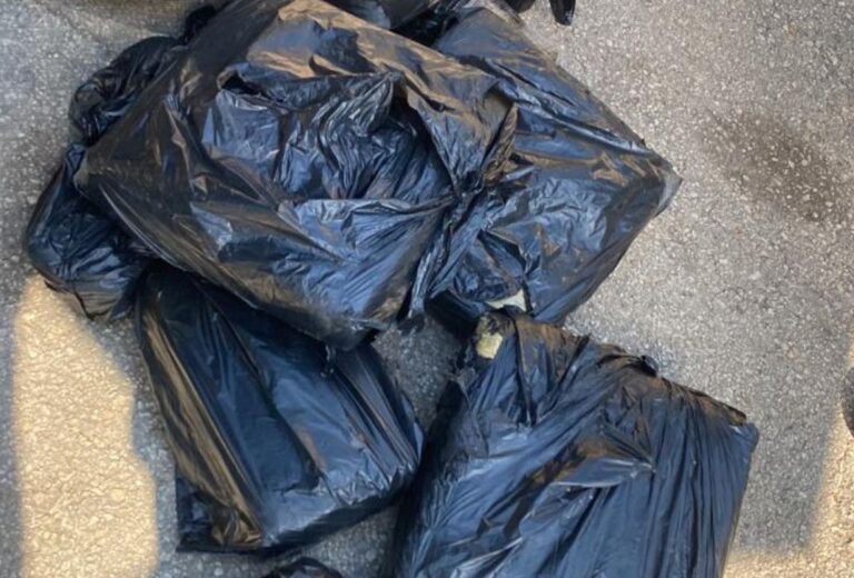 Decomisan 81 libras de presunta marihuana en el interior de un vehículo en Elías Piña