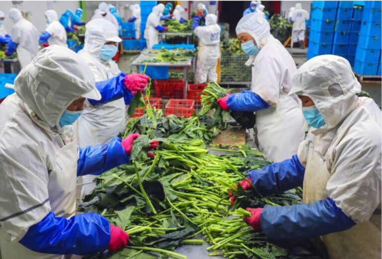 Economía de China crece un 4,5% en primer trimestre tras fin de medidas anticovid