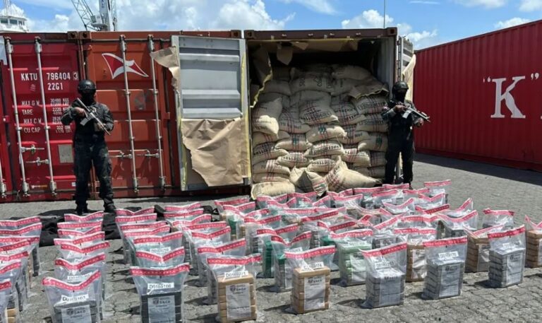 DNCD ha ocupado más de 6 toneladas de coca