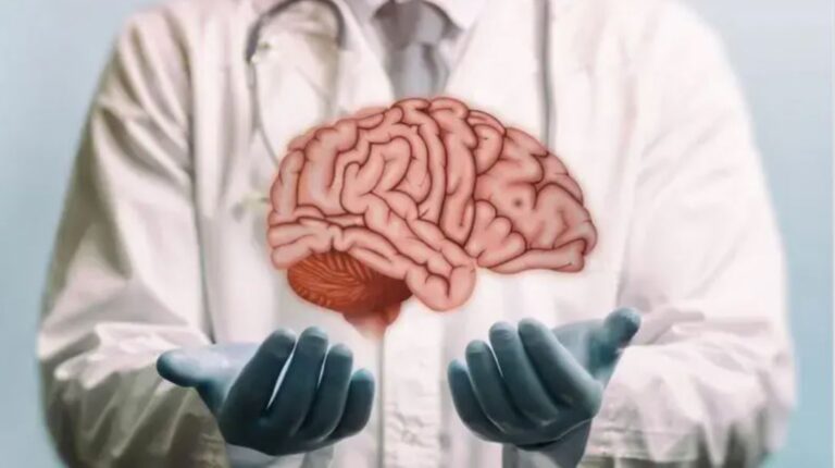 Por qué no se puede trasplantar el cerebro (y cuáles han sido los experimentos para hacerlo)