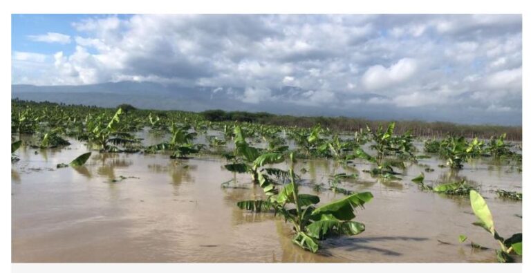 Las lluvias causan estragos en el sur del país