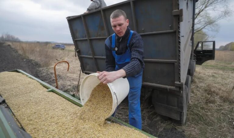 La Unión Europea mantiene el veto a la exportación cereal ucraniano
