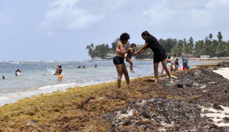 Sargazo trastorna actividades turísticas y comerciales en playas dominicanas