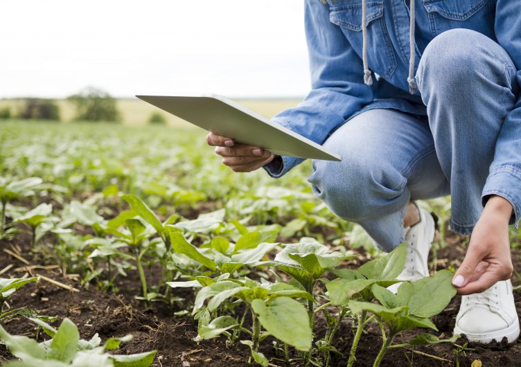 Una tecnología que hace sostenible los agronegocios