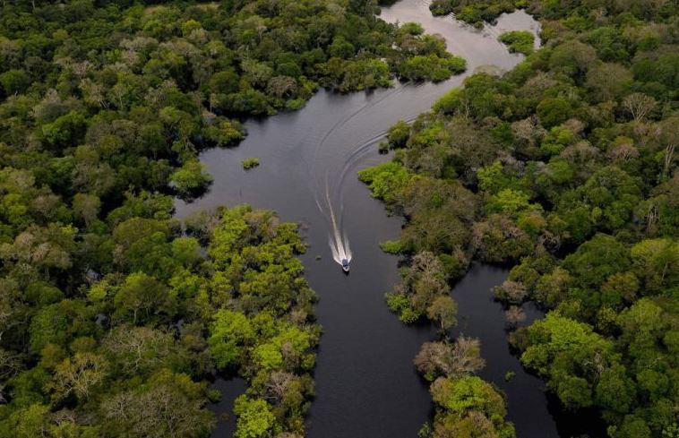 El calentamiento global amenaza el proceso de fotosíntesis de los bosques tropicales